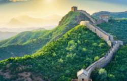 14 Days Single Entry Tourist Visa